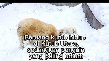 Tahukah Kamu???