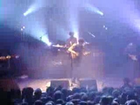 BB BRUNES - CAVALIER NOIR