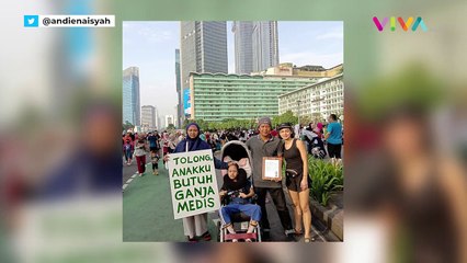 Kata Wakil Ketua DPR Soal Legalisasi Ganja Medis