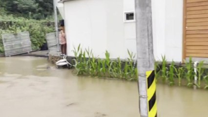 경남 밀양에 거센 장맛비...축사와 주택 등 침수 / YTN