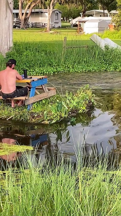 Floating Picnic