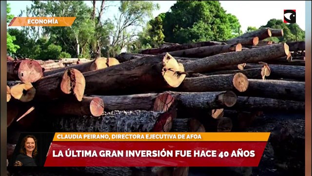 Llevamos 40 años sin inversiones importantes en Celulosas