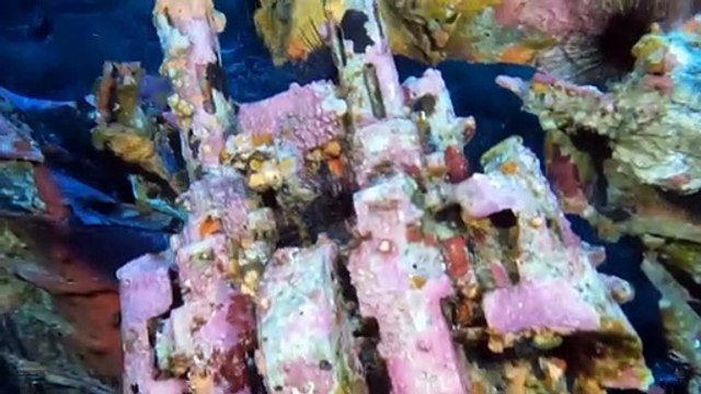 Il relitto aereo trovato nei fondali di Linosa è il Martin Baltimore della Raf