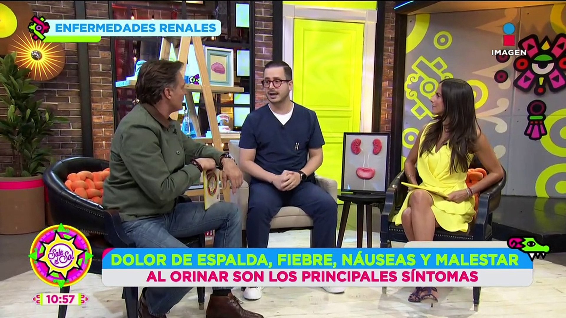 ⁣Enfermedades renales: Causas, riesgos, tratamiento y más