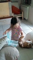 Little Girl Puts a Diaper on Her Dog