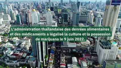 La Thaïlande devient le premier pays en Asie à légaliser la marijuana