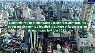 La Thaïlande devient le premier pays en Asie à légaliser la marijuana