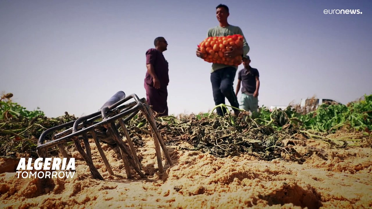 Algeriens moderne Landwirtschaft erobert die Wüste