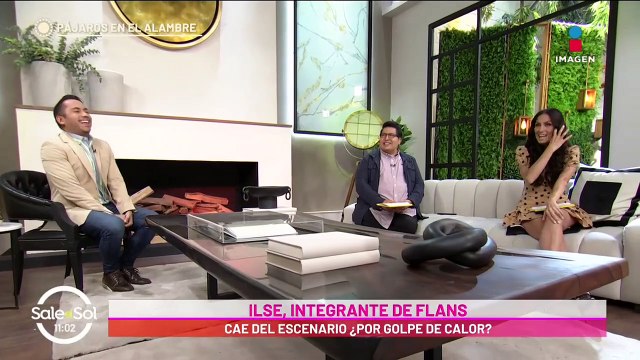 ¿Ilse de Flans CAYÓ del escenario por golpe de calor?