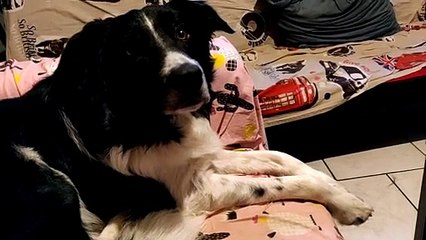 Petit moment de détente