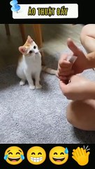 عمل سحر ف القطه واتصدمت | He made a prank on cats and was shocked