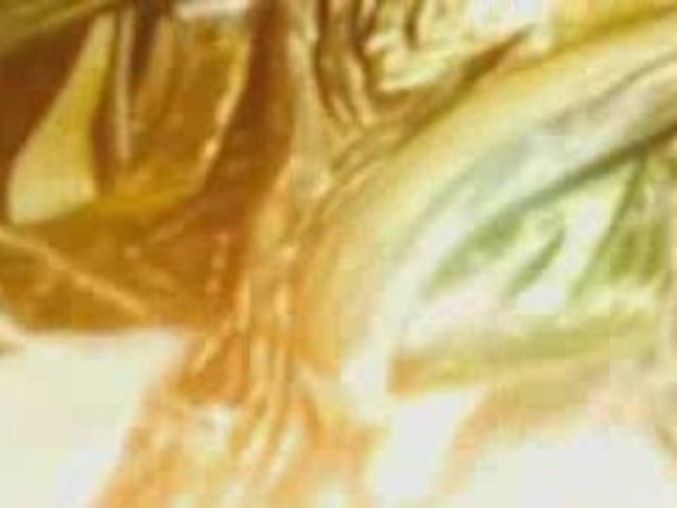 Bahamut Retsu (complète)