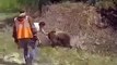 Pas simple de secourir un ours qui a la tête coincée dans un bidon !