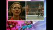 Bret Hart vs British Bulldog (WWF In Your House 95)