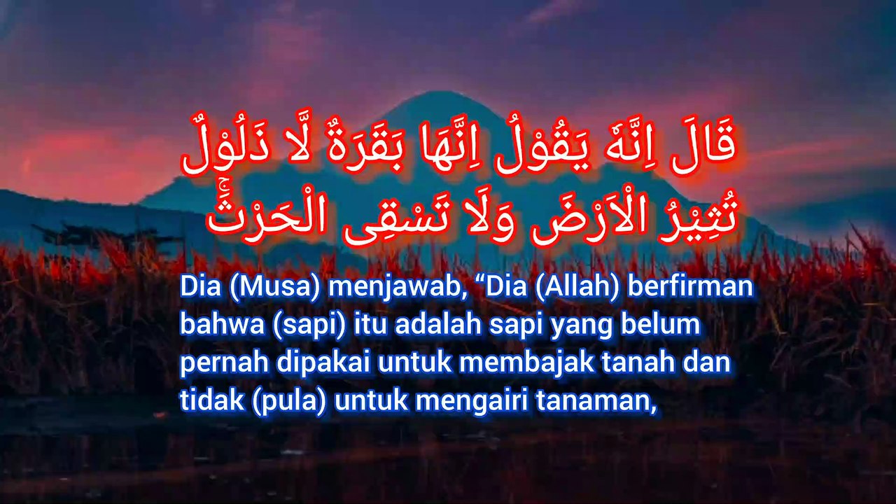 Allah menyingkapkan apa yang selalu kamu sembunyikan. QS. Al-Baqarah : 71 - 73