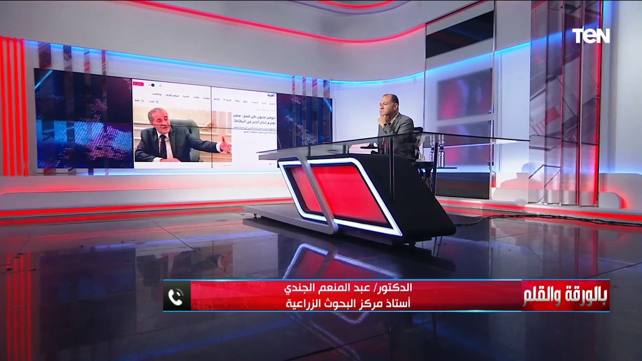 "مصر ستحقق الاكتفاء الذاتي من الخبز عن طريق البطاطا".. مداخلة خاصة مع الدكتور عبدالمنعم الجندي
