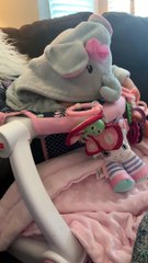 Sleepy Baby Can't Resist Taking a Nap