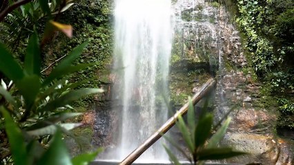 Affirmations Relaxation music sound health