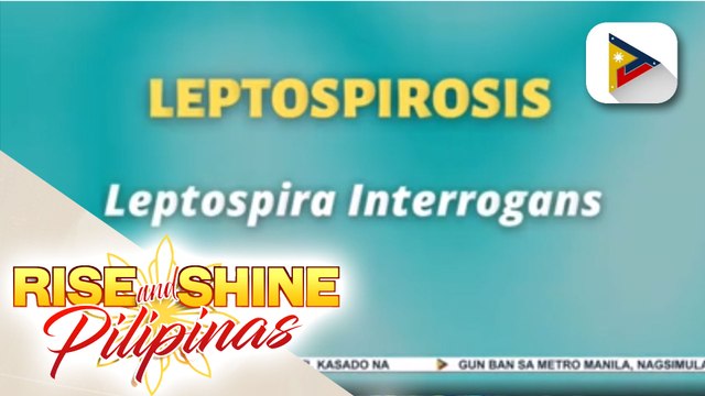 SAY NI DOK | Leptospirosis, isa sa mga pinakakaraniwang sakit sa mundo