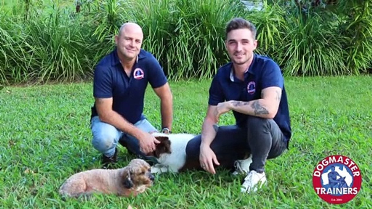 Dogmaster Trainers
