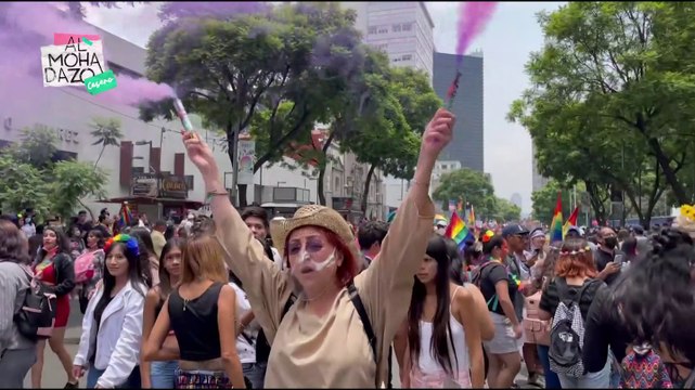 Fernanda en la Marcha del Orgullo - Almohadazo Casero