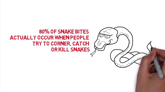 Enviro Bug Control-Snake Repeller