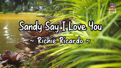 Richie Ricardo - Sandy Say I Love You (Official Lyric Video)