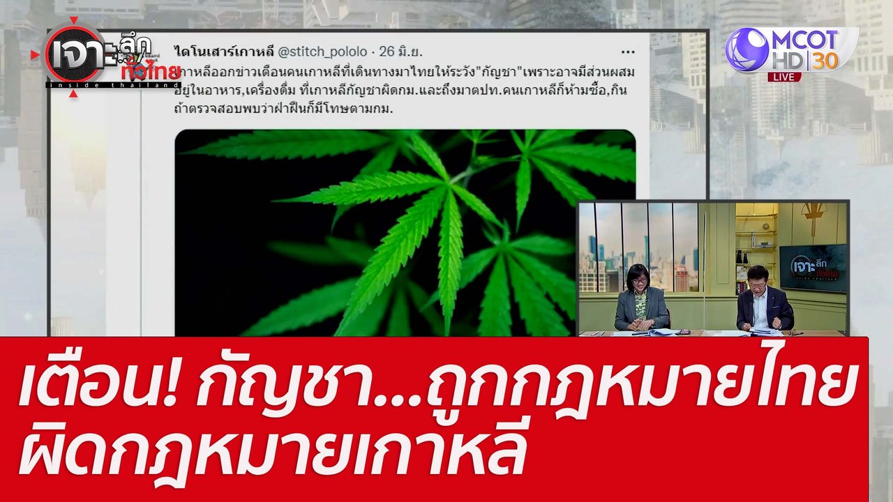 เตือน! กัญชา...ถูกกฎหมายไทย-ผิดกฎหมายเกาหลี : เ...