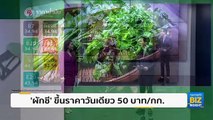 ‘ผักชี’ ขึ้นราคาวันเดียว 50 บาท/กิโลกรัม