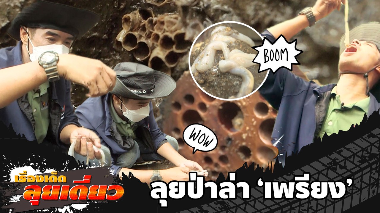 เรื่องเด็ดลุยเดี่ยว | ลุยป่าโกงกางล่า "เพรียง" อาหารชั้นเลิศ จ.ตราด | ข่าวเที่ยงอมรินทร์ |28 มิ.ย.65