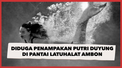 Geger! Diduga Penampakan Putri Duyung di Perairan Pantai Latuhalat Ambon
