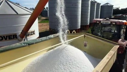 Farmers see reasons for optimism in coming season