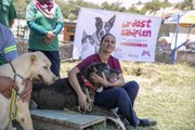 Mersin Büyükşehir Bünyesinde Bir İlk: 'Köpek Eğitim Alanı'