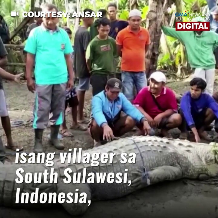 Higanteng buwaya, hinuli gamit lang ang lubid! | GMA News Feed