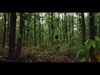 USAના ટેક્સાસમાં 46 લોકોના ટ્રકમાં ગુંગળાઈને મોત, ગેરકાયદે કરી રહ્યા હતા સરહદ પાર