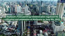 Thailand is The First Asian Nation to Legalize Marijuana