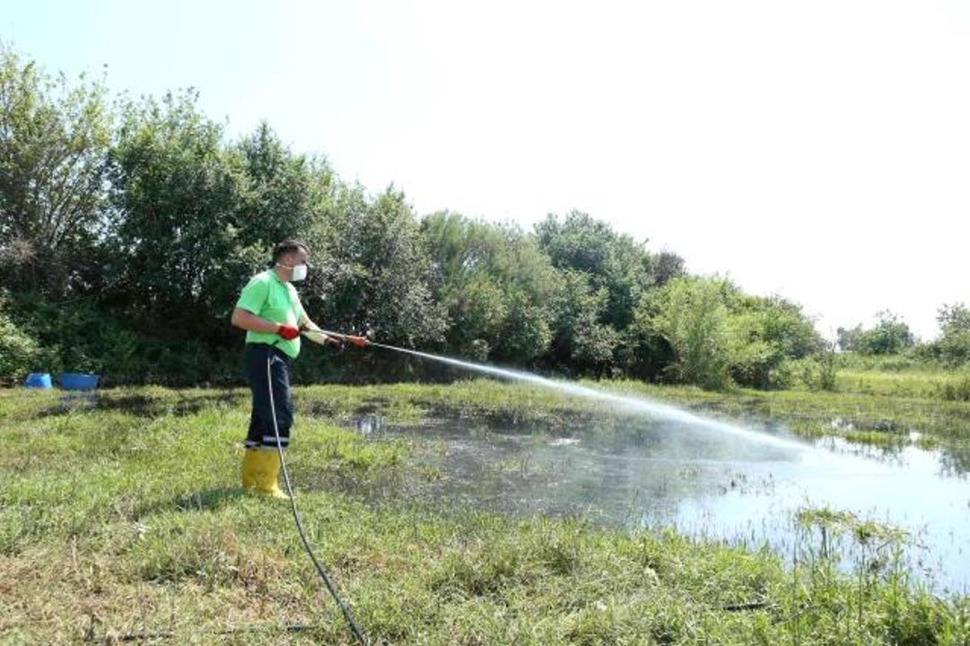 Efeler Belediyesi ilaçlama çalışmalarına hız verdi