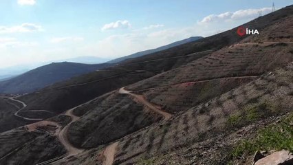 Muğla'da 19 bin hektar ormanlık alanın yandığı bölge havadan görüntülendi