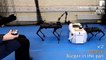 Watch Remote Control Burger Crafting Using Two Robot Dogs
