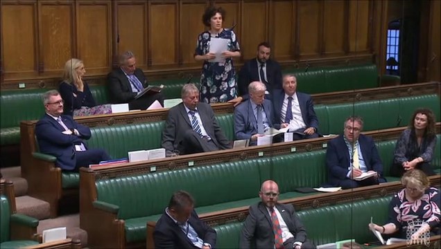 Iconic unionist Edward Carson's sense of betrayal by Tories invoked during Protocol debate