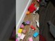Pet Ferrets Make Mess in House