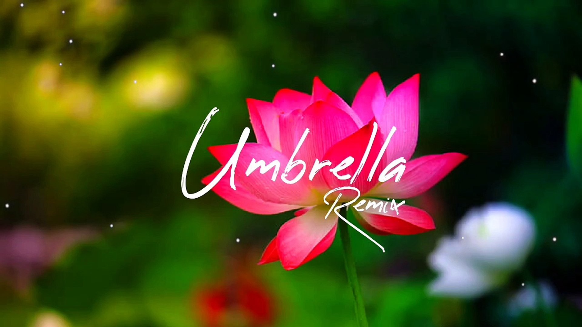 ⁣Umbrella Remix