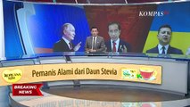 Pengamat: Rusia Apresiasi Niat Indonesia Membawa Misi Perdamaian Lewat Presiden Jokowi