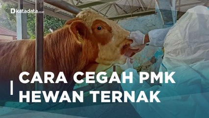 Mewabah, Ini Cara Cegah Penyakit Mulut dan Kuku Hewan Ternak | Katadata Indonesia
