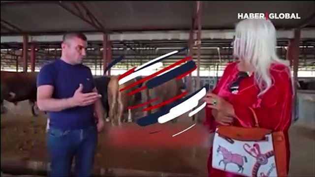 Banu Alkan 68 bin TL'ye kurbanlık satın aldı! Sosyal medyayı ikiye bölen görüntü