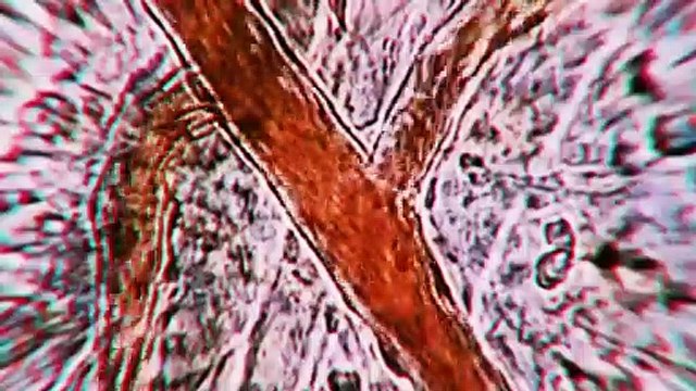 Ich weiß nicht, warum Leute die Formel 1 gucken - Aber nach dem Trailer zu F1 22 will ich sofort auf die Rennbahn