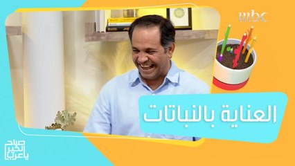 طرق العناية بالنباتات ضد الحشرات والبكتيريا