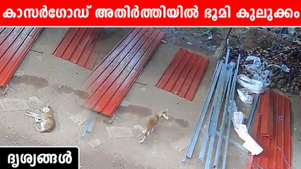 കാസർഗോഡ് ജില്ലയിൽ ഭൂമി കുലുക്കം | *Kerala