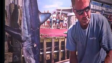 'Sharks de Brian Skerry', la exposición inmersiva que desmitifica al tiburón