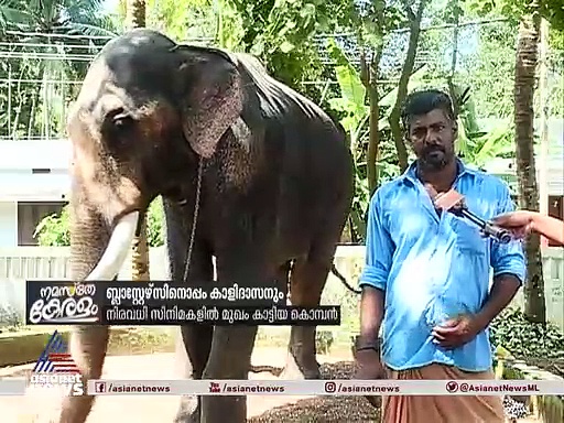 കൊമ്പ് കുലുക്കാന്‍ ബ്ലാസ്റ്റേഴ്സ് ഇറങ്ങുന്നു; ഒറിജിനല്‍ കൊമ്പന്‍ ദാ ഇവിടെയുണ്ട്...